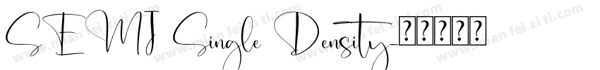 SEMI Single Density字体转换